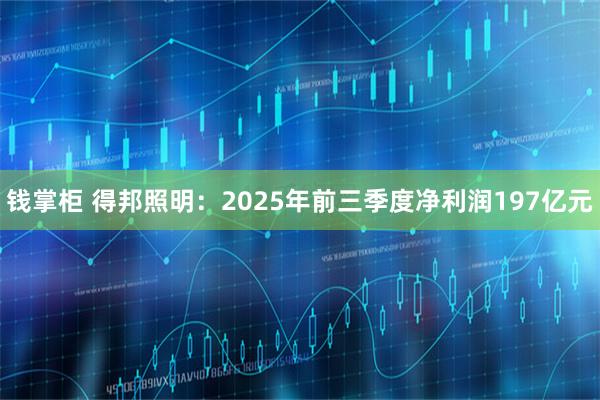 钱掌柜 得邦照明：2025年前三季度净利润197亿元