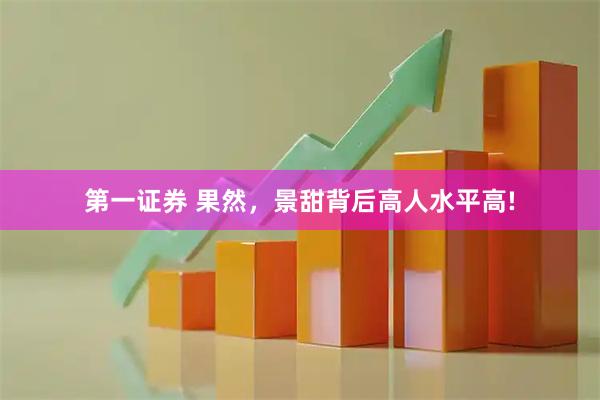 第一证券 果然，景甜背后高人水平高!